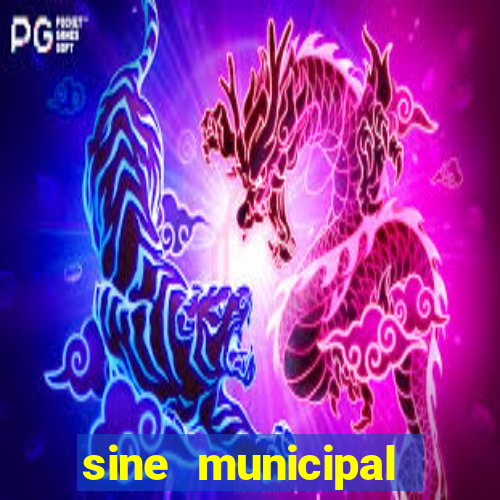 sine municipal porto velho